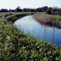 Norfolk Broads / Kodak Ektar