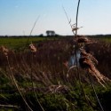 Norfolk Broads / Kodak Ektar