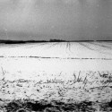 Winter Field