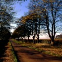 Sandringham / Velvia 50