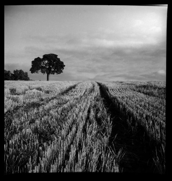 Lubitel_166_1209_12