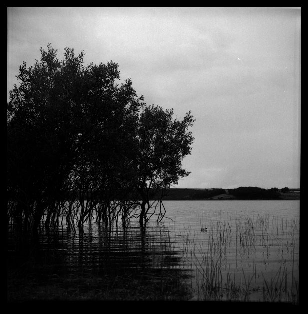 Lubitel_166_1209_01