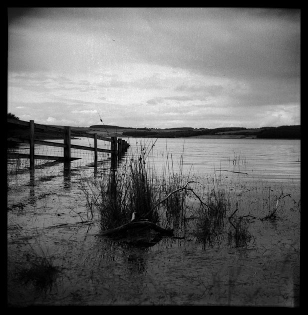 Lubitel_166_1209_02
