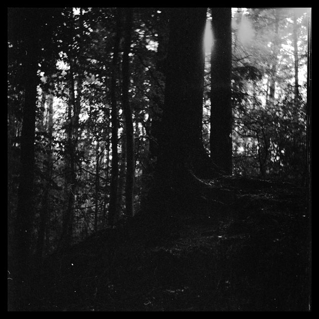 Lubitel_166_1209_07